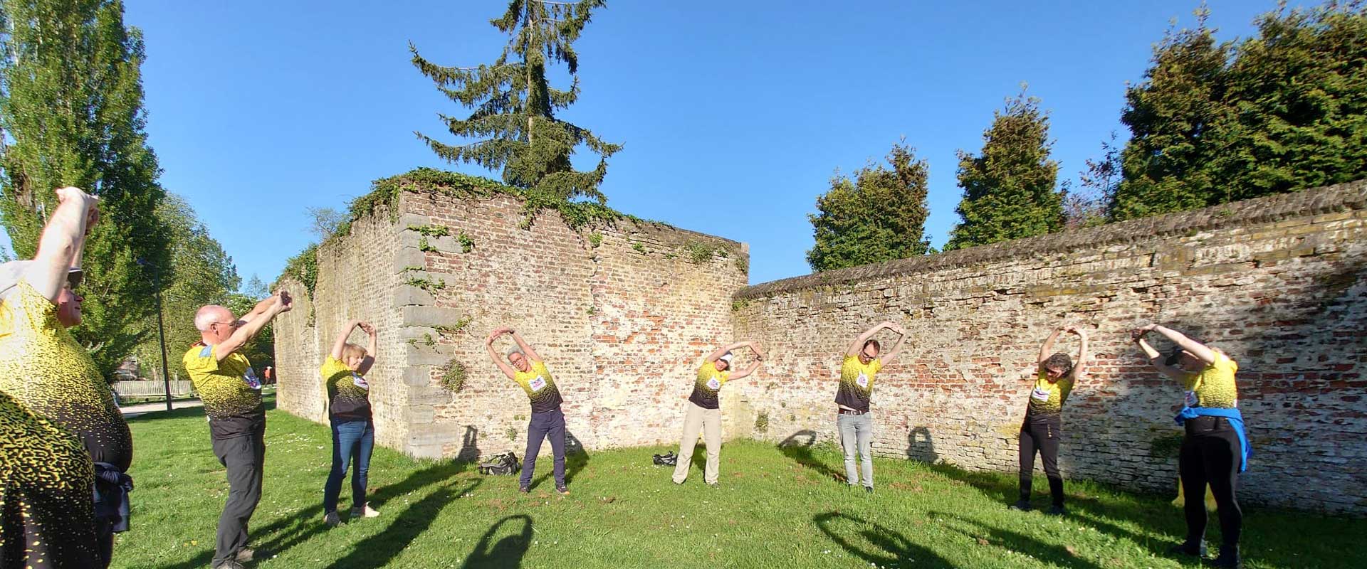 Nieuwe-wandeltrainer-header